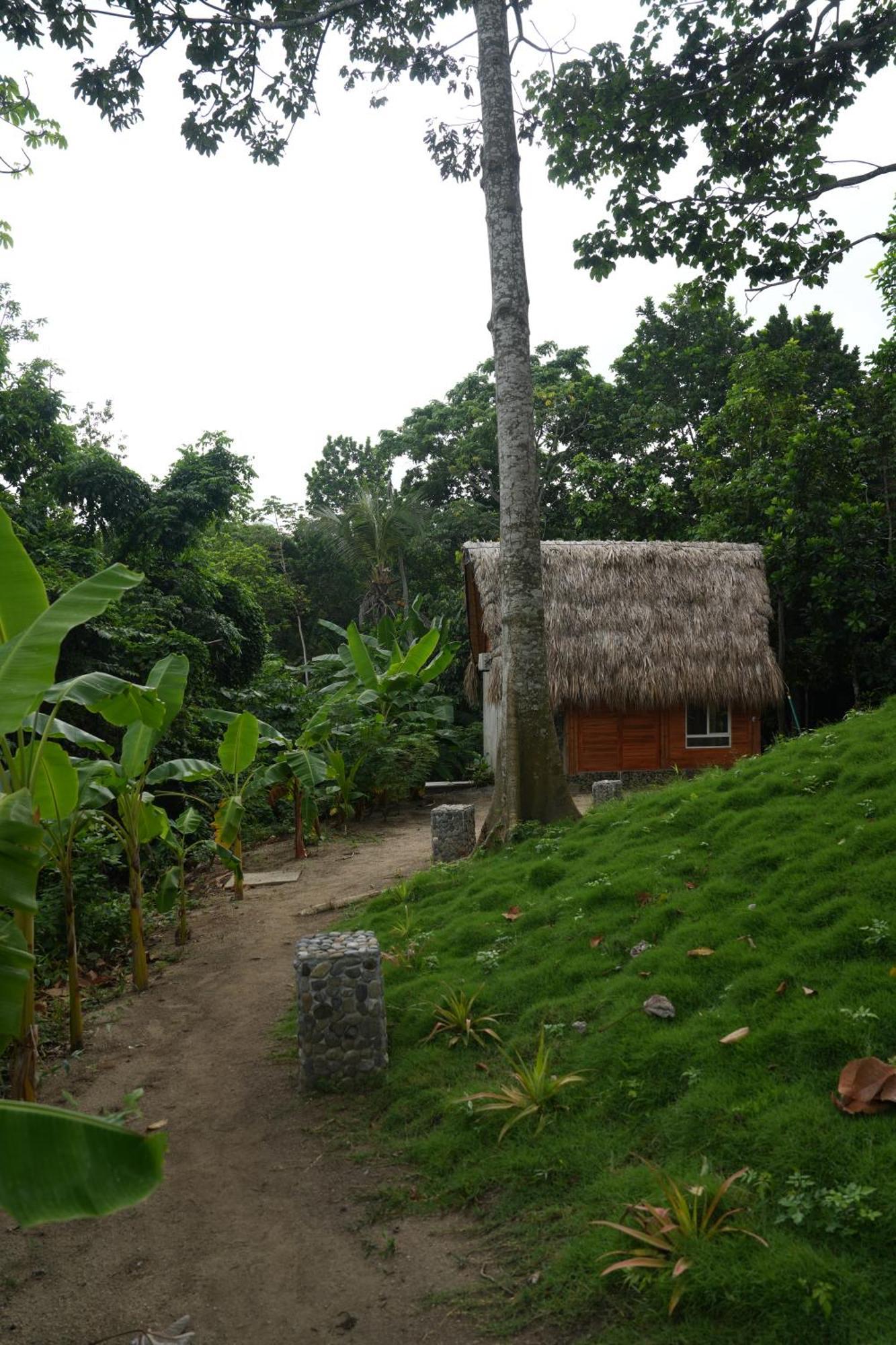 Tiny Houses Unique Tayrona - Dentro Del Parque Tayrona El Zaino Luaran gambar