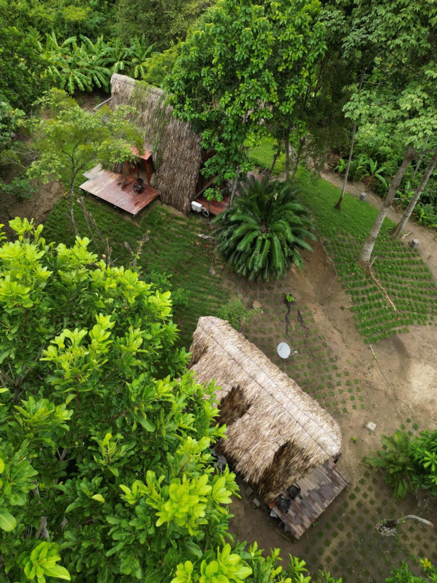 Tiny Houses Unique Tayrona - Dentro Del Parque Tayrona El Zaino Luaran gambar