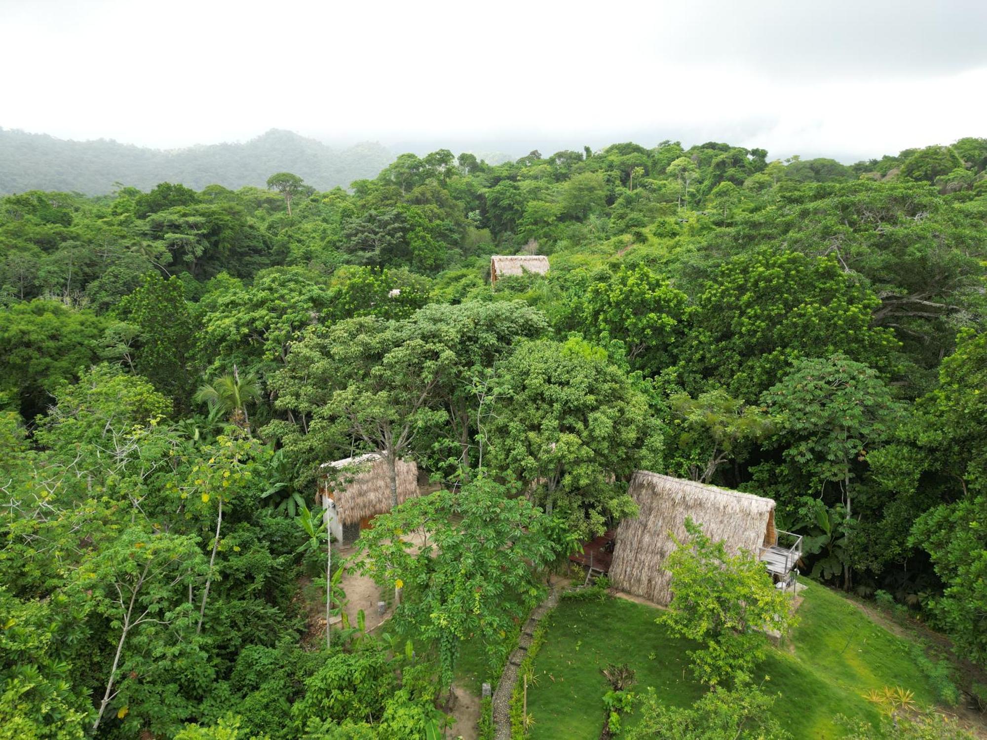 Tiny Houses Unique Tayrona - Dentro Del Parque Tayrona El Zaino Luaran gambar