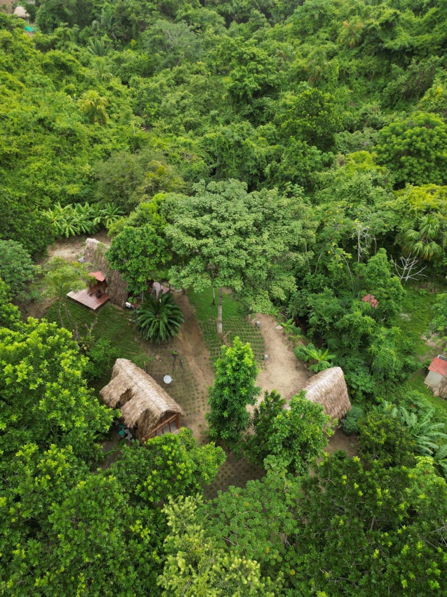 Tiny Houses Unique Tayrona - Dentro Del Parque Tayrona El Zaino Luaran gambar