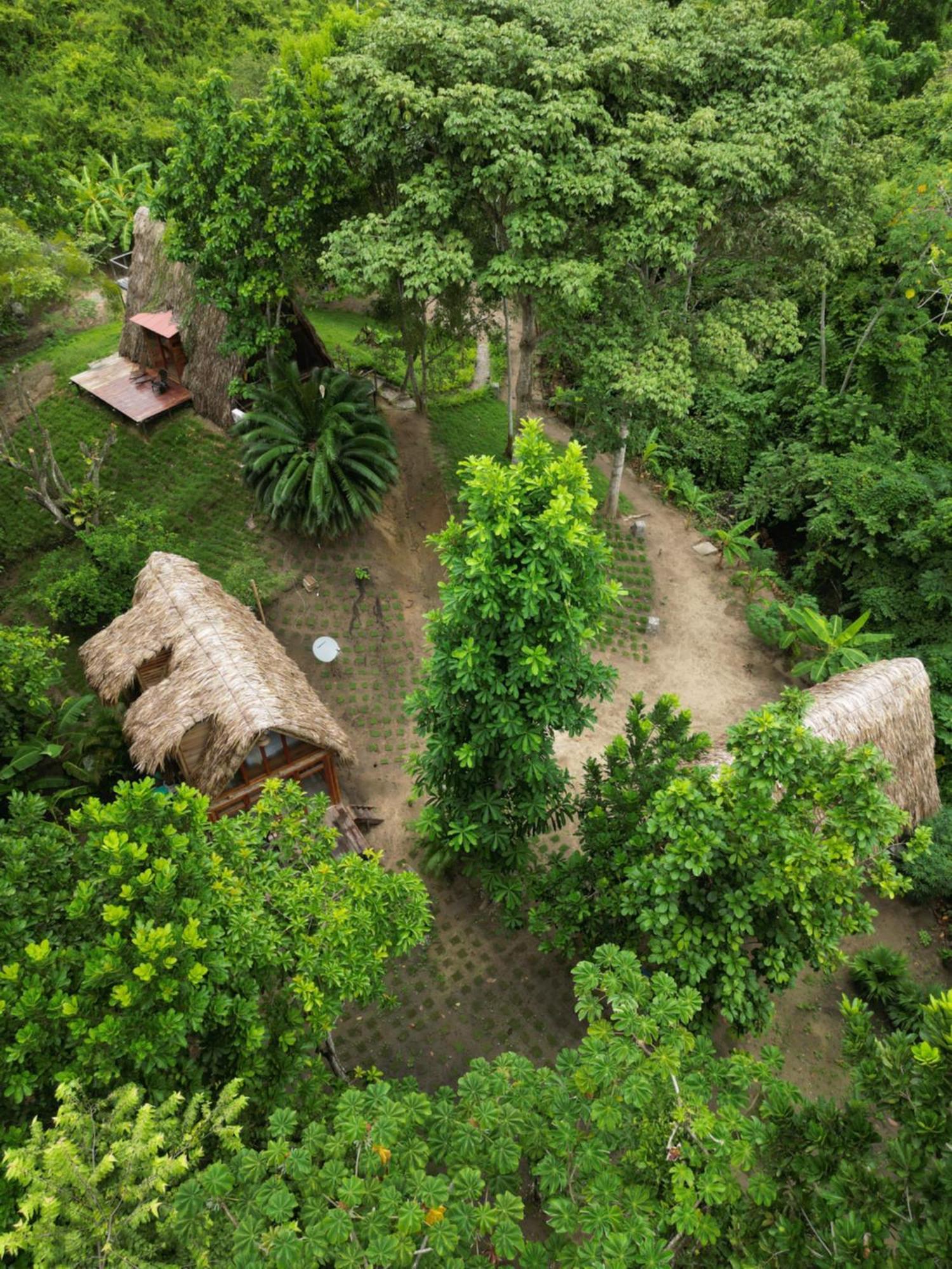 Tiny Houses Unique Tayrona - Dentro Del Parque Tayrona El Zaino Luaran gambar