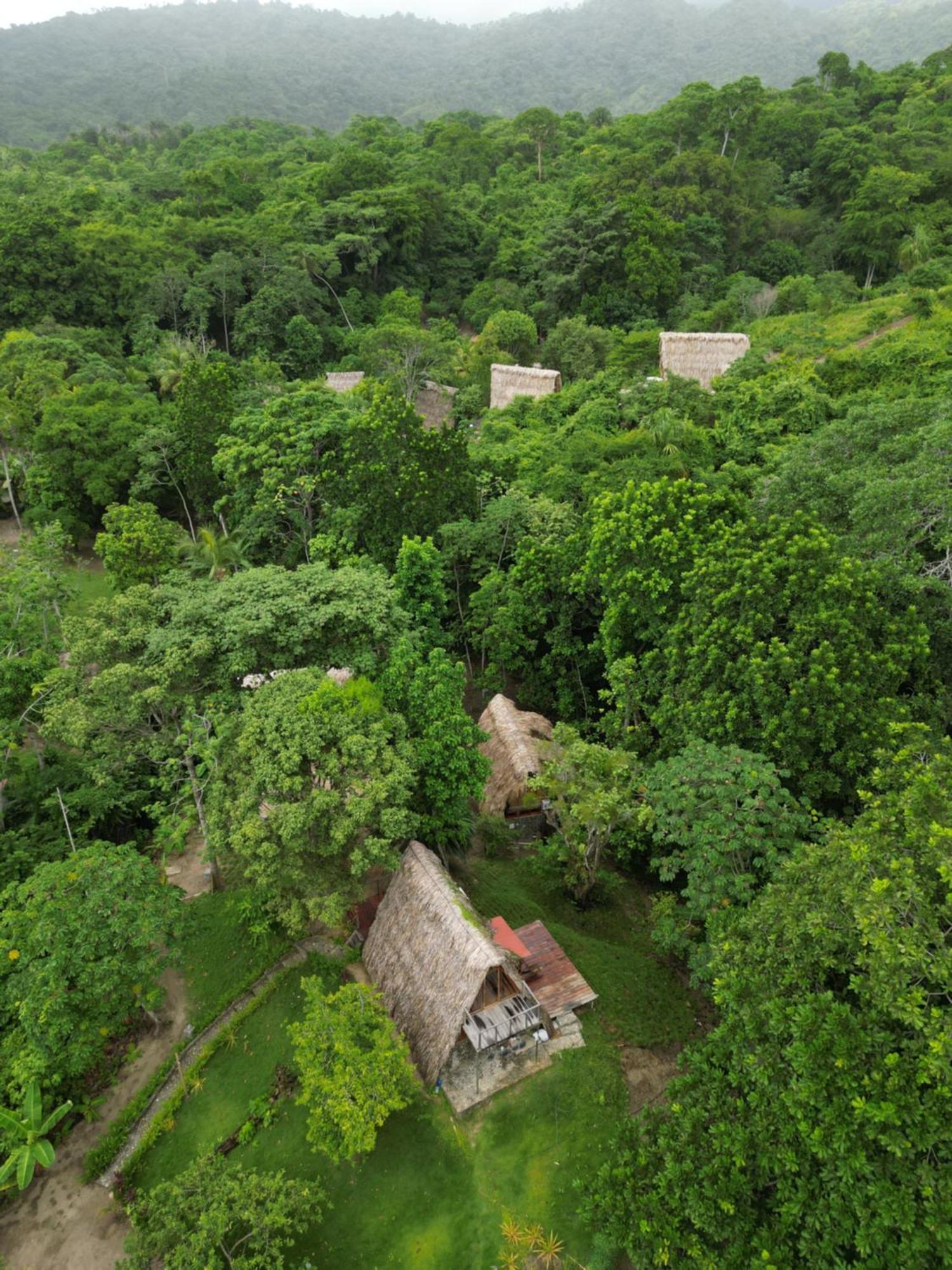 Tiny Houses Unique Tayrona - Dentro Del Parque Tayrona El Zaino Luaran gambar