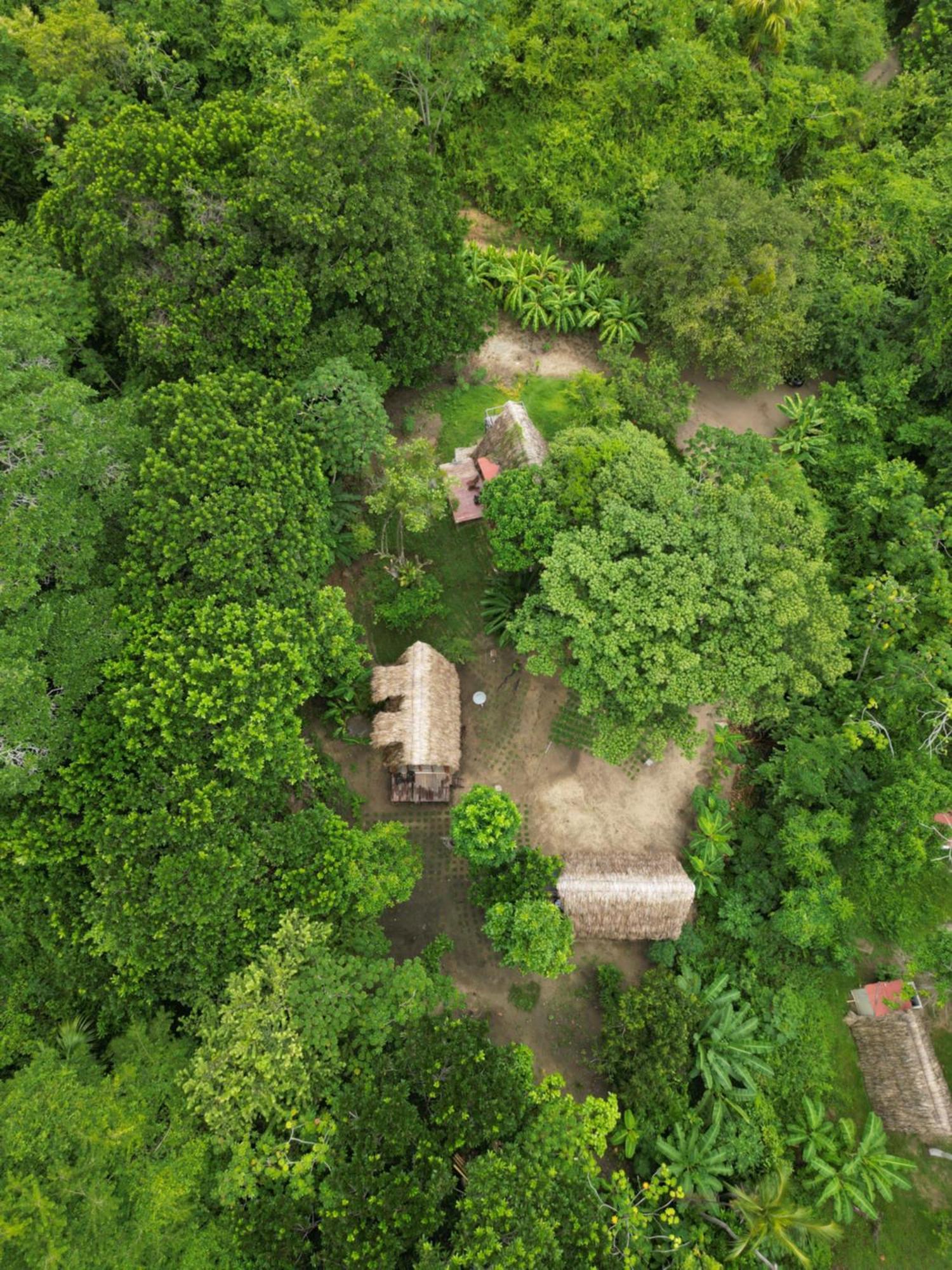 Tiny Houses Unique Tayrona - Dentro Del Parque Tayrona El Zaino Luaran gambar