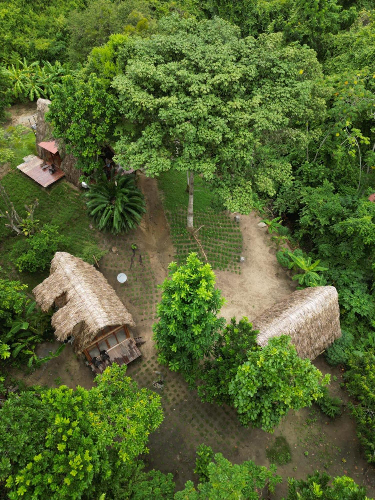 Tiny Houses Unique Tayrona - Dentro Del Parque Tayrona El Zaino Luaran gambar
