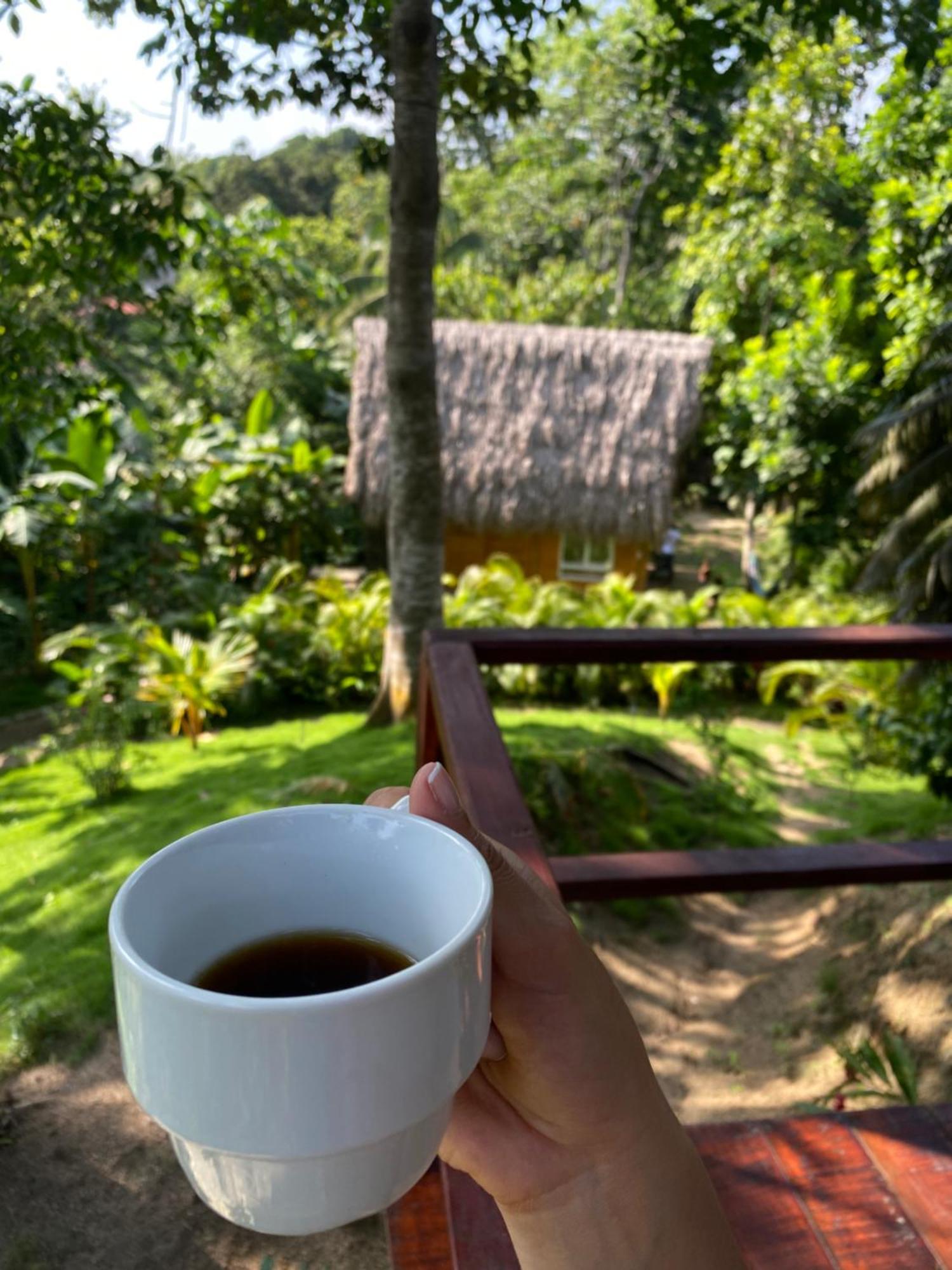 Tiny Houses Unique Tayrona - Dentro Del Parque Tayrona El Zaino Luaran gambar