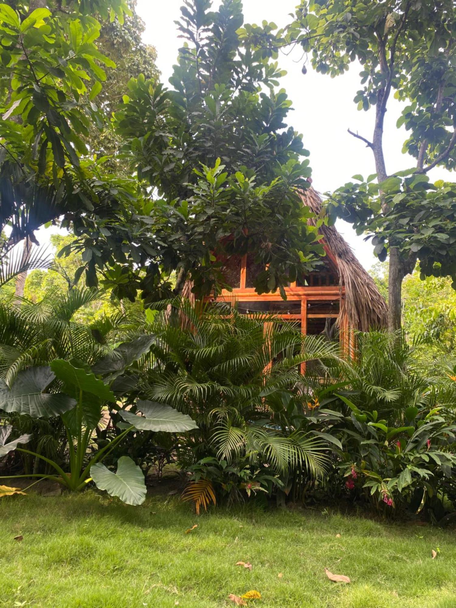 Tiny Houses Unique Tayrona - Dentro Del Parque Tayrona El Zaino Luaran gambar